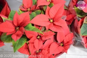 MadeinMycountry Happy New Year 2021