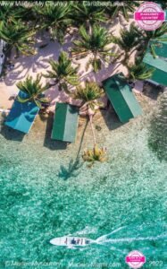 MadeinMycountry-America-latina