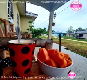 MadeinMycountry-MadeinMycountryLat-MadeinMycountry-Latin-America-Sudamerica-America-Latina